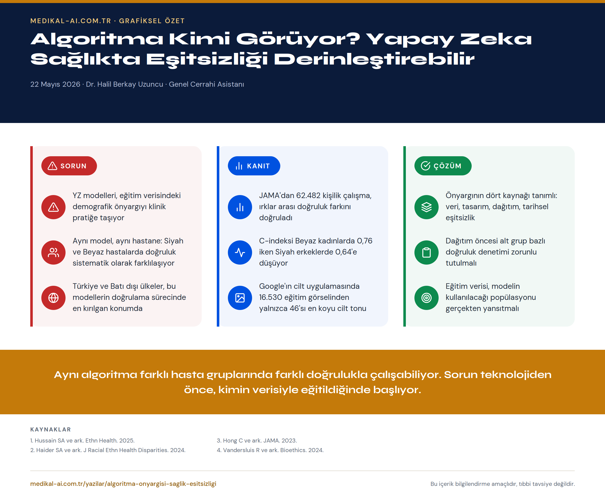 Algoritma Kimi Görüyor? Yapay Zeka Sağlıkta Eşitsizliği Derinleştirebilir — grafiksel özet