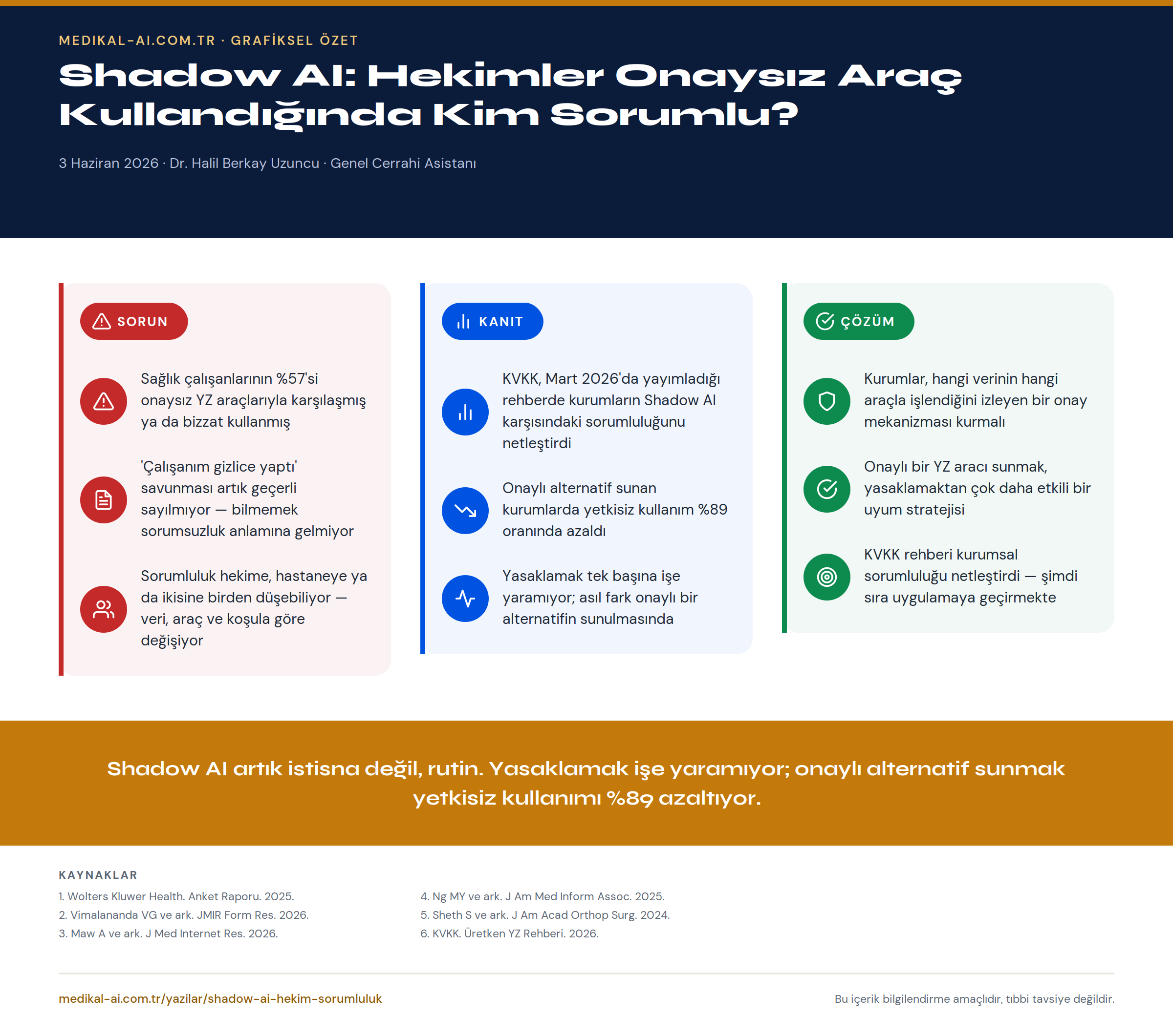 Shadow AI: Hekimler Onaysız Araç Kullandığında Kim Sorumlu? — grafiksel özet